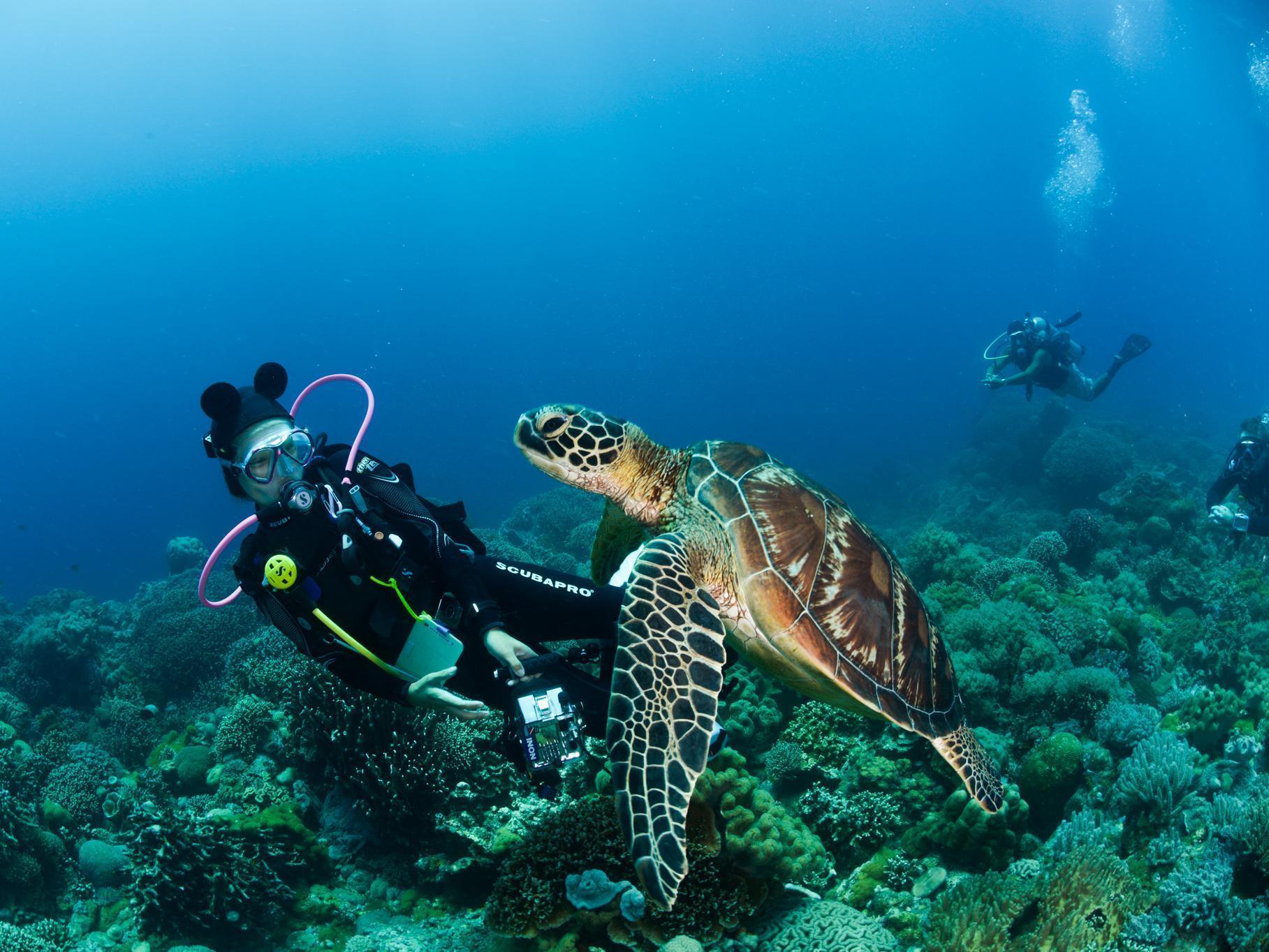 Acqua Dive Bed & Breakfast Zamboanguita  Dış mekan fotoğraf