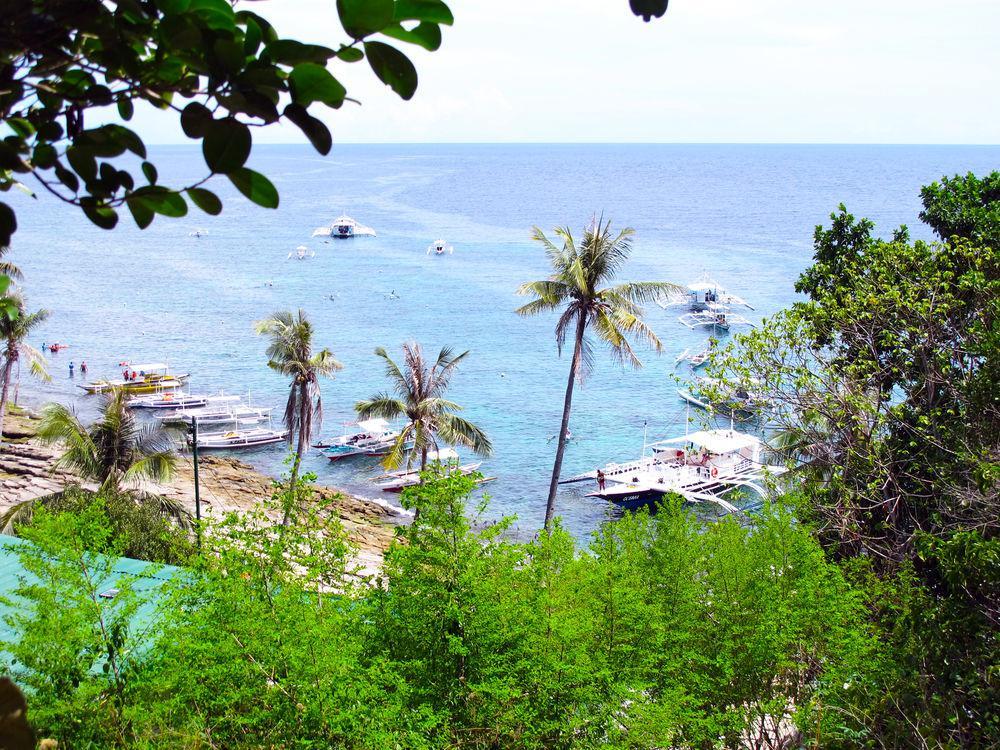 Acqua Dive Bed & Breakfast Zamboanguita  Dış mekan fotoğraf