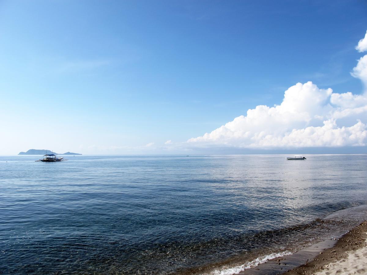 Acqua Dive Bed & Breakfast Zamboanguita  Dış mekan fotoğraf