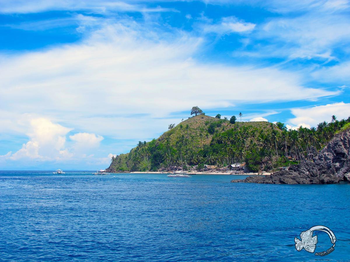 Acqua Dive Bed & Breakfast Zamboanguita  Dış mekan fotoğraf