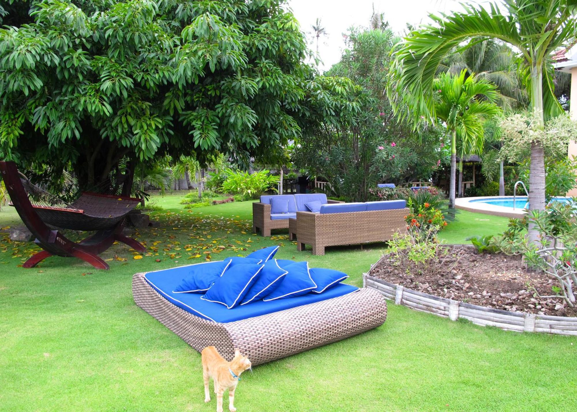 Acqua Dive Bed & Breakfast Zamboanguita  Dış mekan fotoğraf